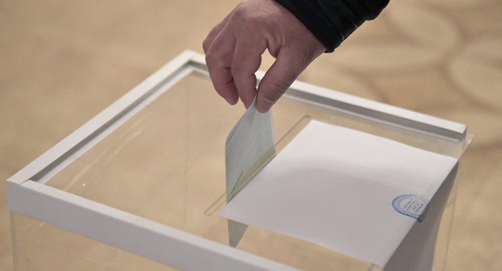 ЦИК ДНР разрешил агитацию за кандидатов и избирательные списки на выборах с момента их регистрации