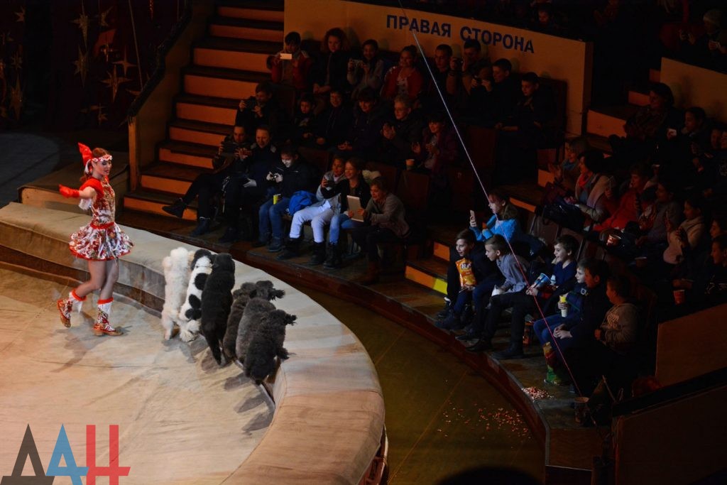 Депутаты и общественники ДНР организовали поездку в цирк для 200 детей из прифронтового Приазовья