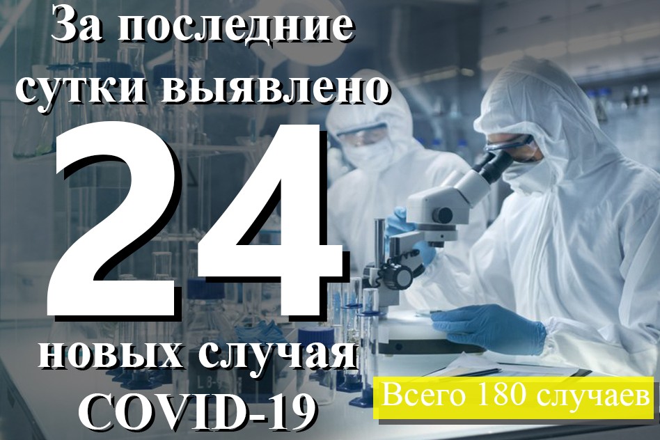 В ДНР за сутки выявлено 24 случая COVID-19 – Минздрав