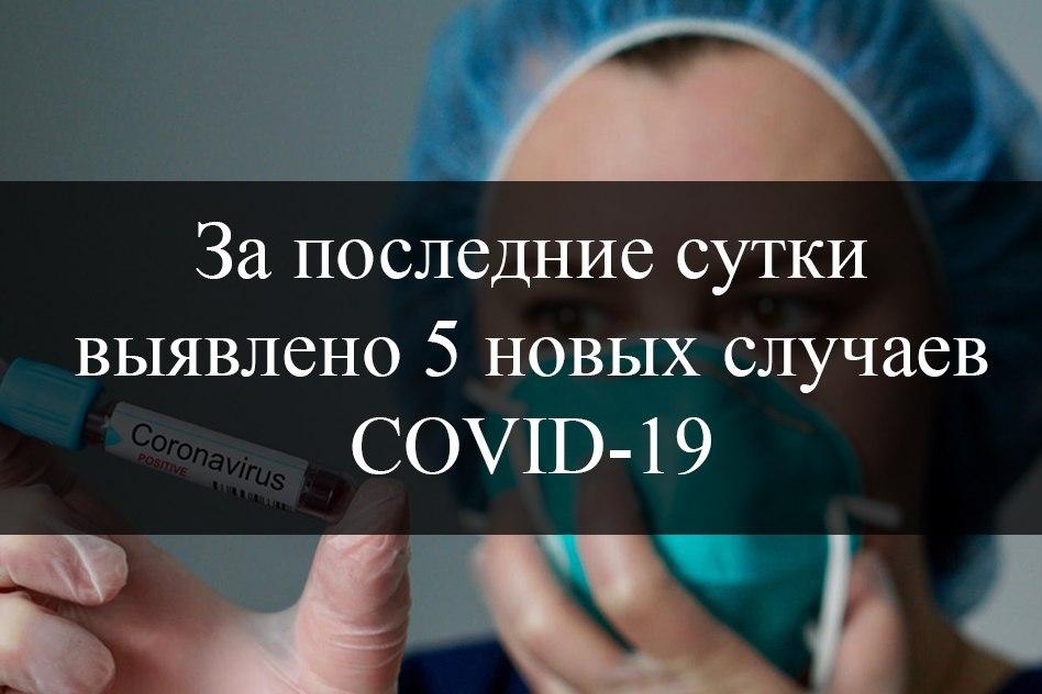 В ДНР официально зарегистрировано 110 случаев COVID-19 – Минздрав ДНР