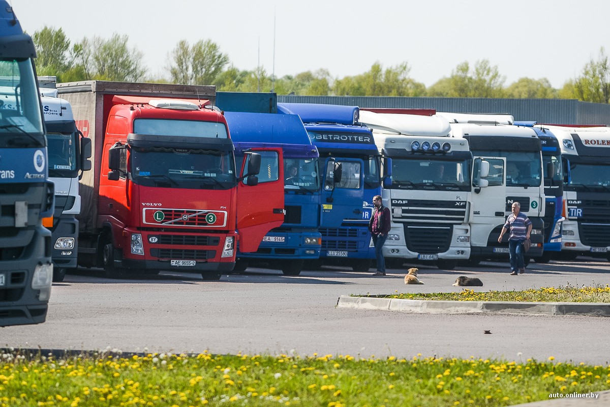 Водители, осуществляющие международные грузоперевозки перевозки, в ДНР соблюдают самоизоляцию