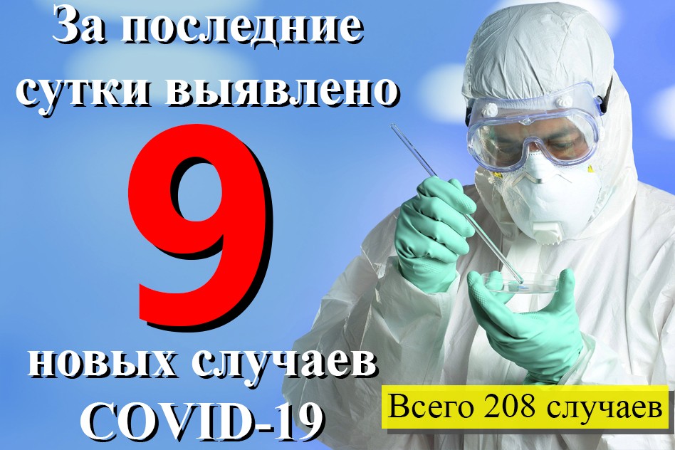По состоянию на 10:00 13 мая в ДНР 208 случаев заболевания COVID-19 – Минздрав