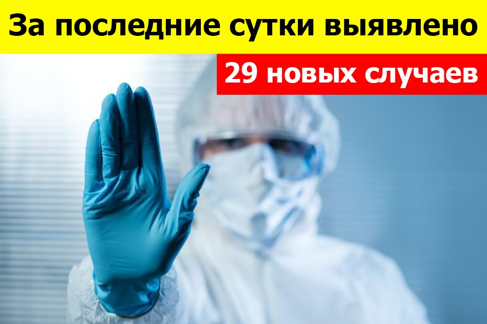 Минздрав ДНР сообщил о 29 новых случаях заболевания COVID-19 за сутки
