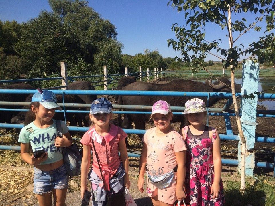 Дети из Ясиноватой посетили Старобешевский зоопарк