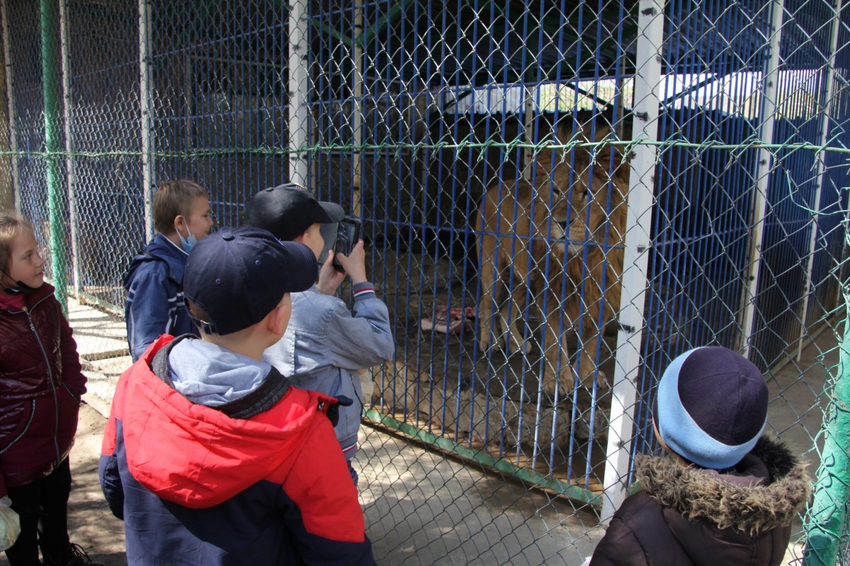 Дети сотрудников коммунального предприятия посетили зоопарк