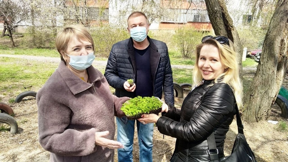 Жительница Донецка подарила саженцы павлонии для озеленения города