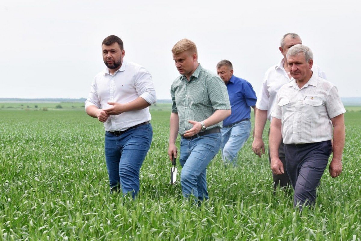 Денис Пушилин ознакомился с ходом посевной кампании и оценкой состояния озимых зерновых культур
