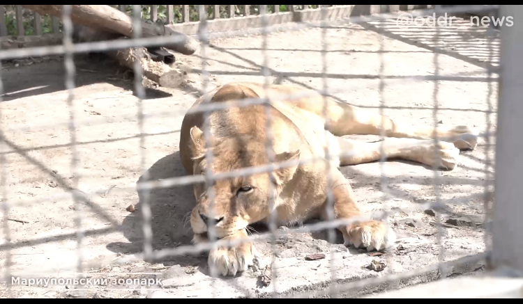 Общественники посетили мариупольский зоопарк