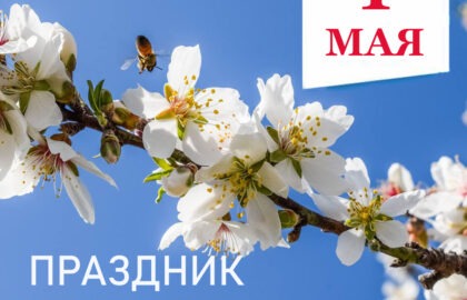 Поздравление врио Главы ДНР Дениса Пушилина по случаю Праздника весны и труда
