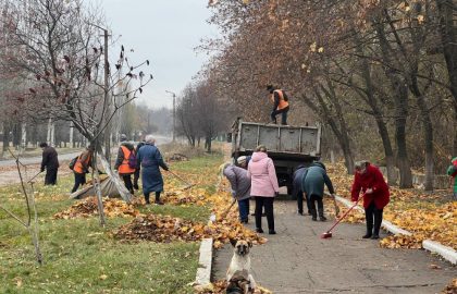 Активисты ОД «ДР» благоустроили территорию снежнянского парка